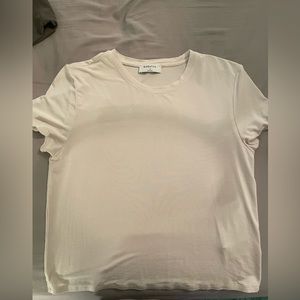 Aritzia Babaton Shirt